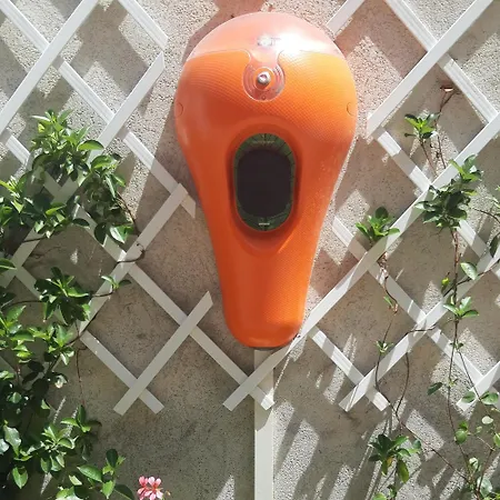 Felix 3* ريميني