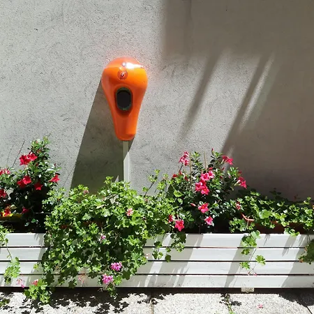 Felix 3* ريميني