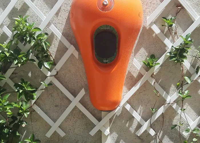 Felix 3* רימיני